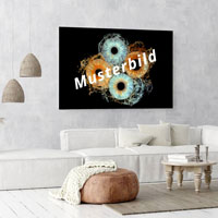 Iris Foto Acrylglas 40er